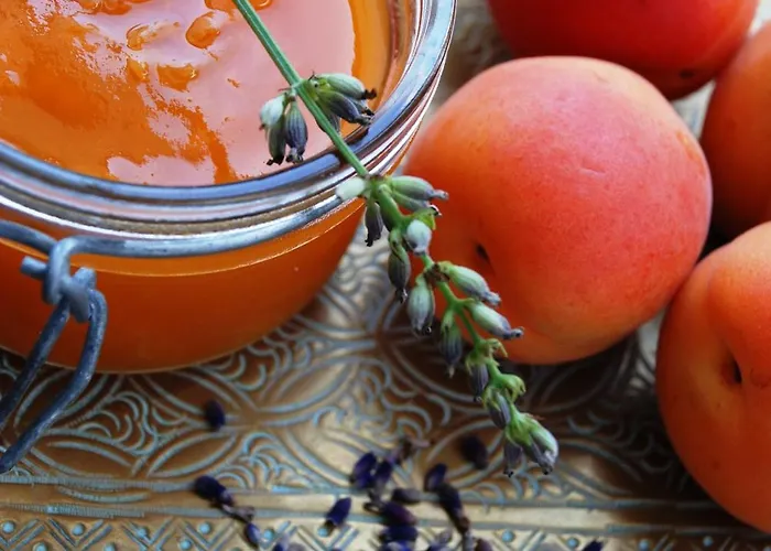 Atlantikoa Bed & Breakfast Bassussarry